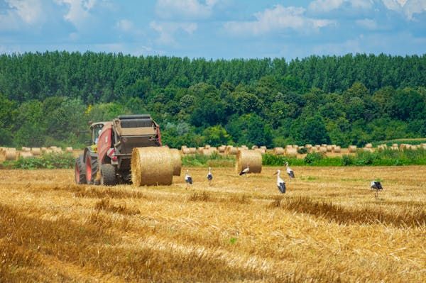 Всесвітній день сільського господарства снагадує про важливість сільського господарства в нашому повсякденному житті та необхідність постійних інновацій та дбайливого використання природних ресурсів Всесвітній день сільського господарства снагадує про важливість сільського господарства в нашому повсякденному житті та необхідність постійних інновацій та дбайливого використання природних ресурсів