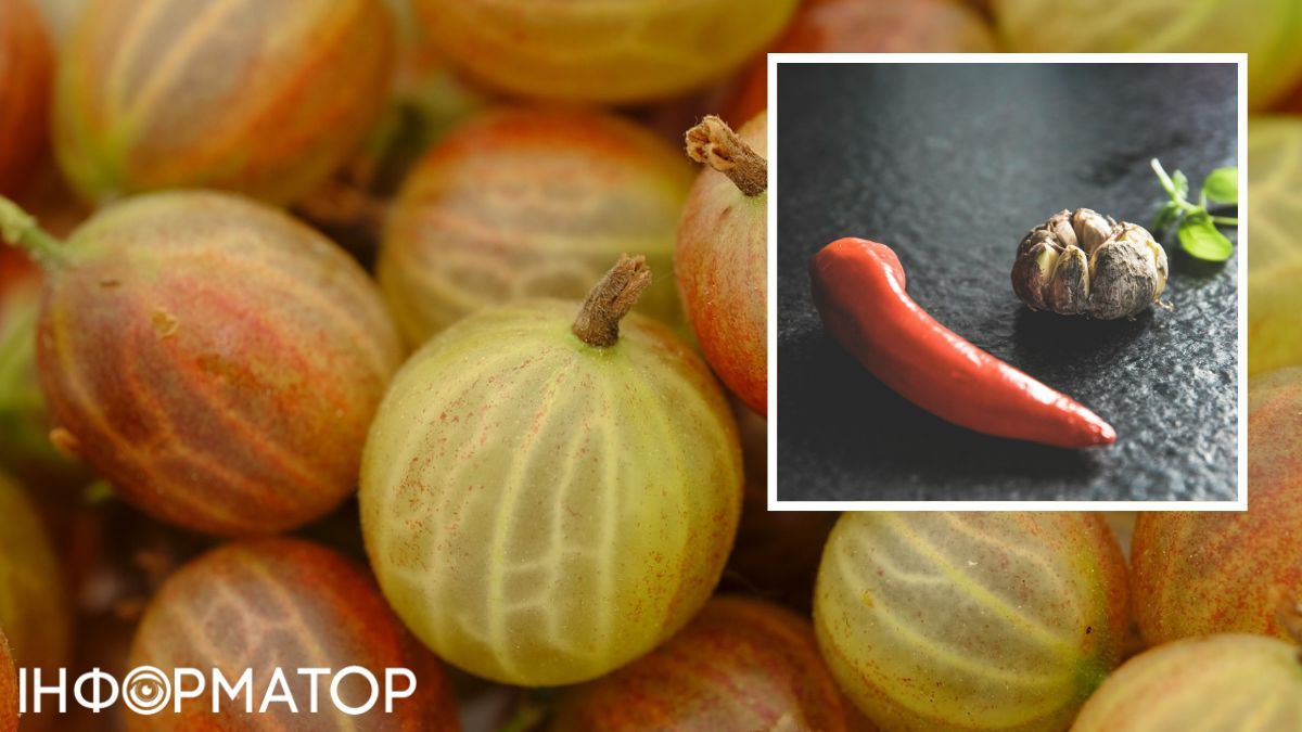 Смарагдовий соус відмінно підійде практично до всіх м’ясних та рибних страв.