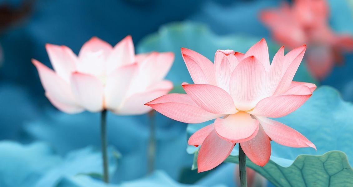 Исследования продемонстрировали, что осознанность при современном ритме жизни способна изменить человеческий взгляд на обычные вещи и ситуации Исследования показали, что осознанность при современном ритме жизни способна поменять человеческий взор на обыденные вещи и ситуации