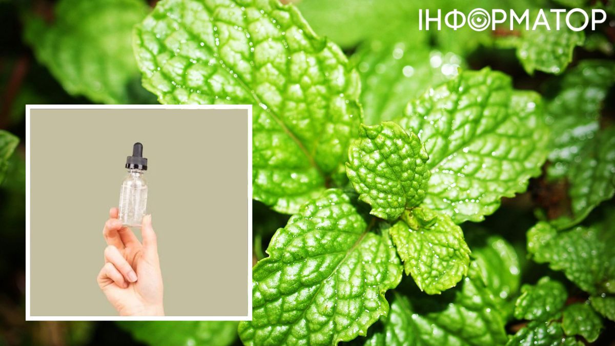Час згадати про ефырны олії м'яти, евкалипту та ментолу. Час згадати про ефырны олії м'яти, евкалипту та ментолу.