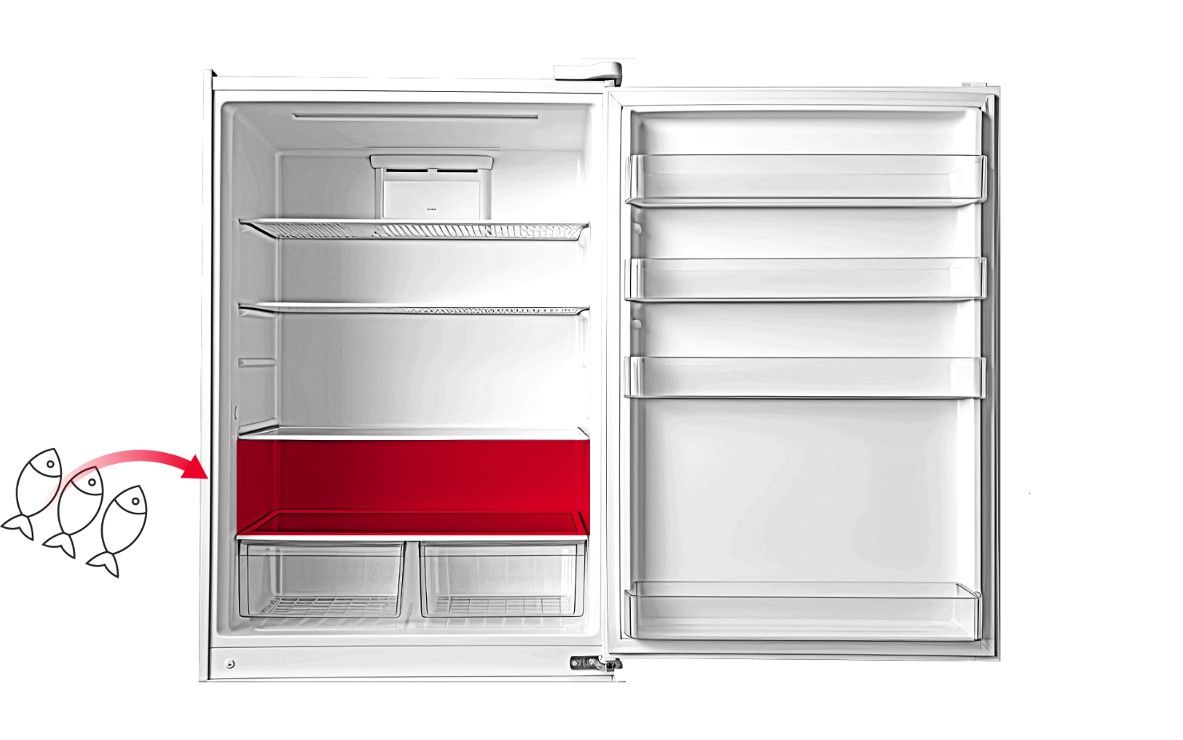 Рибні продукти складіть в холодильнику майже внизу.