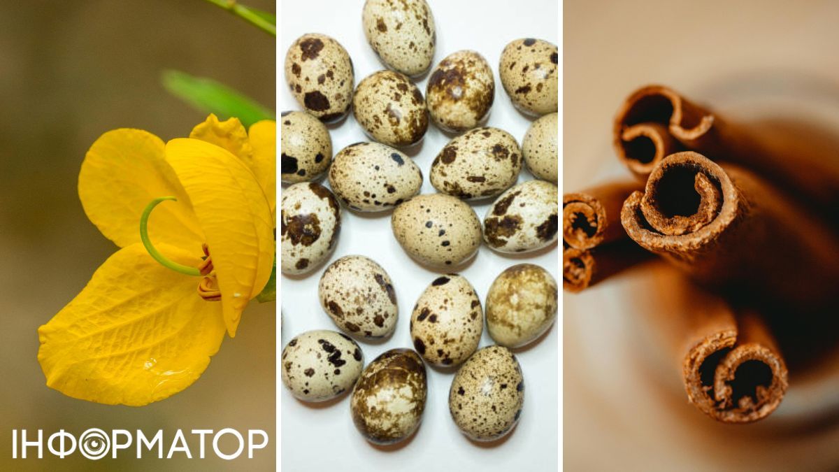 Щоб не заплутатись в усих цих нюансах, цікавтеся походженням інгредієнтів ваших улюблених продуктів і співвідносьте заявлені з ціною. 