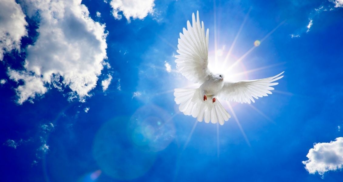 Болючі людські втрати, зруйновані долі та економічні збитки демонструють надзвичайну актуальність Дня миру, бо ніщо не змушує людей так глибоко усвідомити всі переваги мирного життя, ніж особистий досвід війни у власній країн