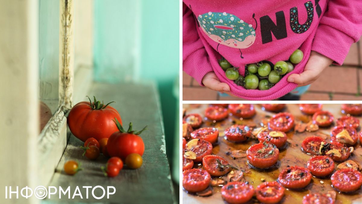 З цими хаками ваш урожай і зусилля точно не пропадуть. З цими хаками ваш урожай і зусилля точно не пропадуть.