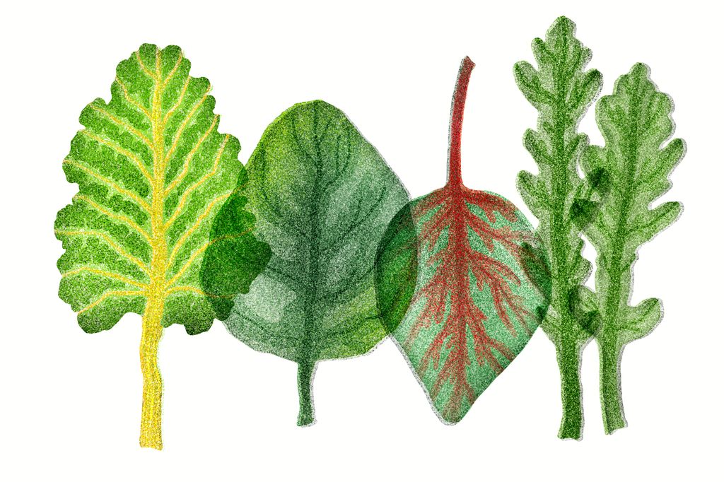 Иллюстрация The New York Times.