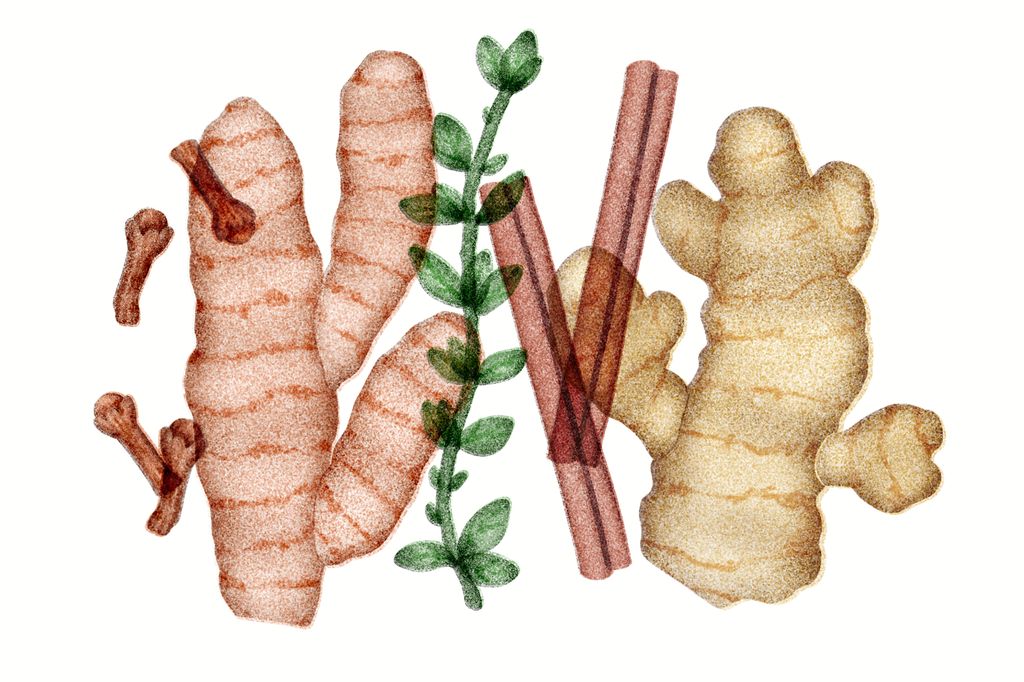 Иллюстрация The New York Times.