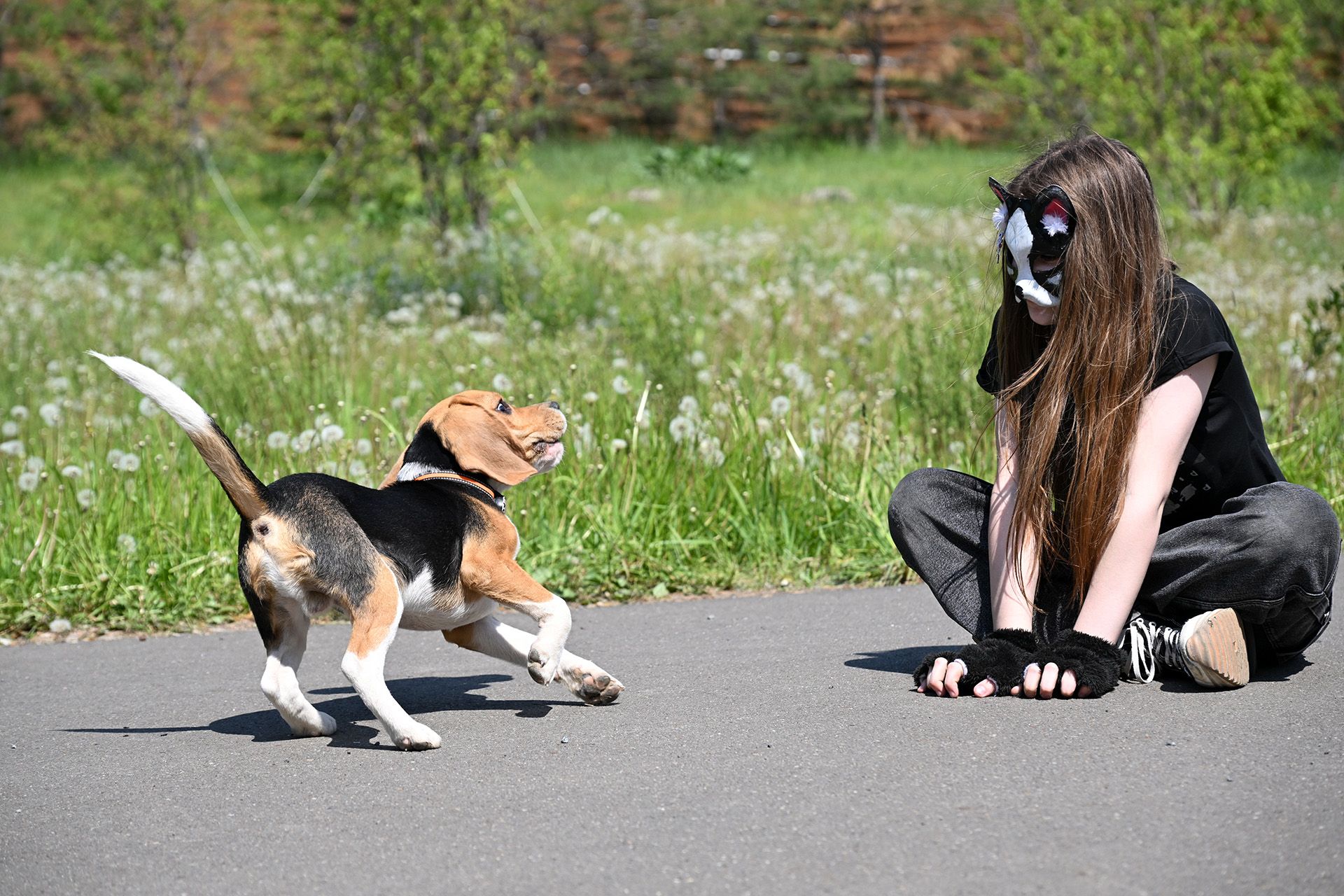 Если у ребенка счастливая жизнь, а квадробика - один из восторгов - с ним абсолютно ничего не будет Если у ребенка счастливая жизнь, а квадробика - один из восторгов - с ним абсолютно ничего не будет