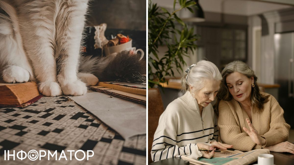 Розгадуйте кросворди, грайте в шахи, читайте, збирайте пазли, радять лікарі. Це стимулюватиме ваш мозок. кросворд 1