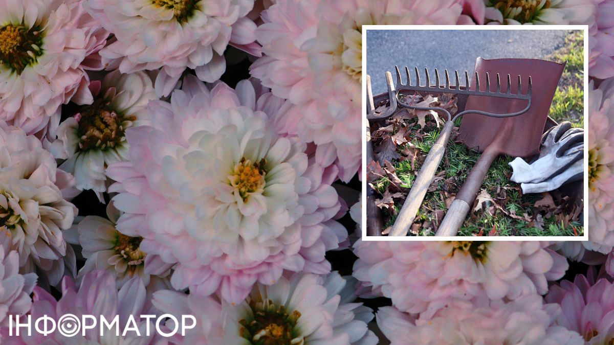 Клумби з квітами – прополіть від бур'яну, а листя – залиште.