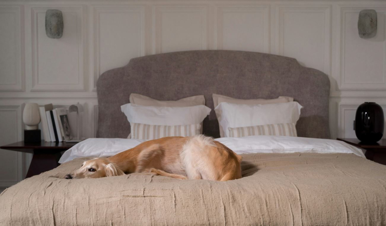 Вчасно доглядайте за вашими песиками – і все буде добре!