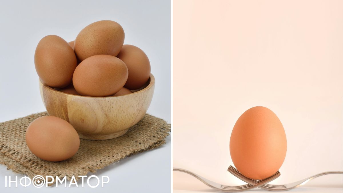 Благодаря высокой концентрации белков и жиров, яйцо снабжает организм необходимыми веществами. Два небанальных блюда из яиц: для тех, кто на диете и не только 2