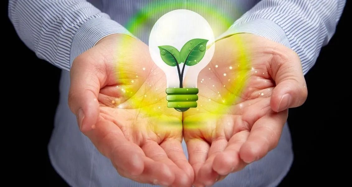 Цей день покликаний підвищити обізнаність про екологічні проблеми та сприяти їх вирішенню як на місцевому, так і на глобальному рівнях