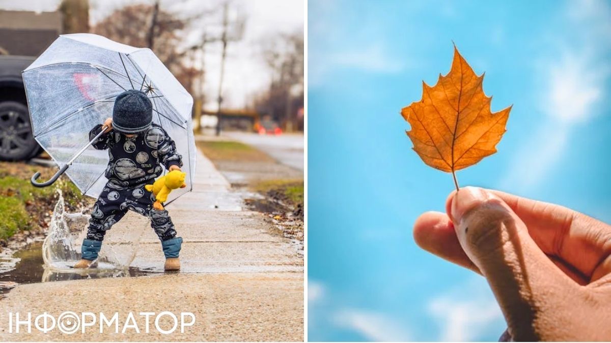 Ребенок и листья