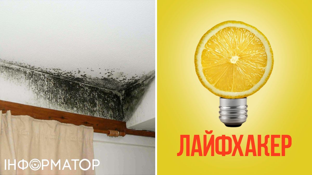 Вогкість, вологість, пліснява, цвіль, опалення, побут, лайфхак