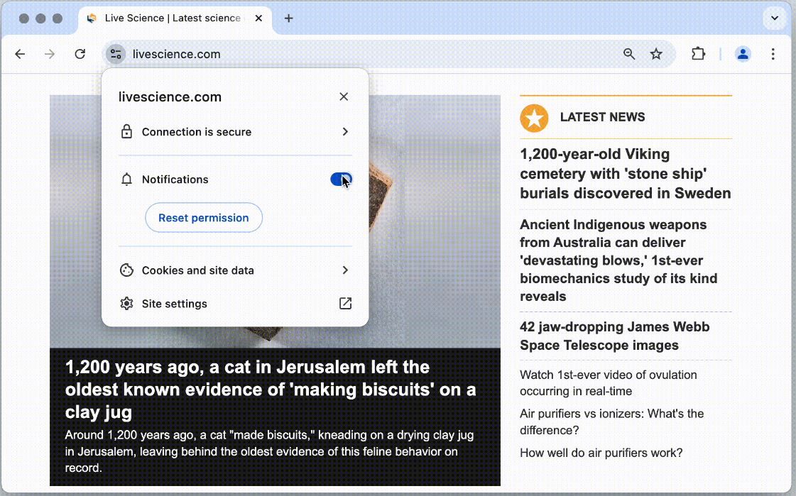 Фото: ящик Livescience.com.