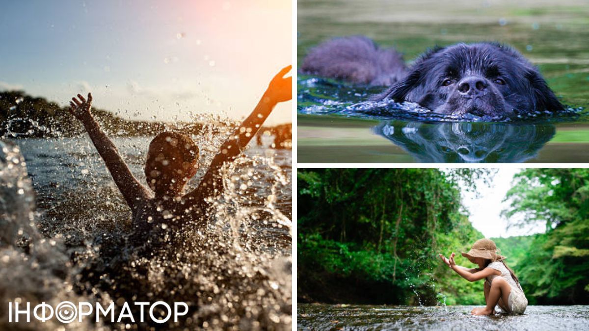 Собака вытаскивал детей из воды за стейк: но сначала он их туда толкал 1