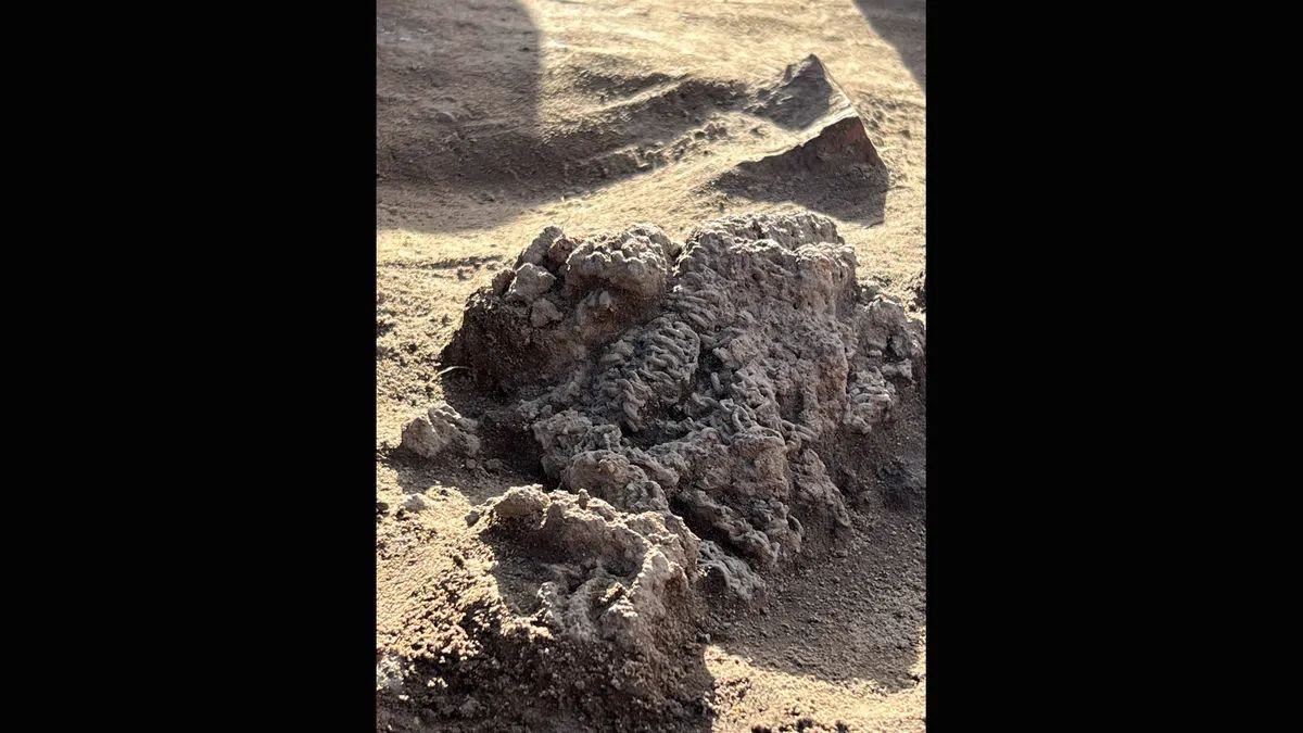 Набір кольчуг залізного віку було знайдено під час розкопок у Данії. Кольчуга не до кінця викопана із землі.