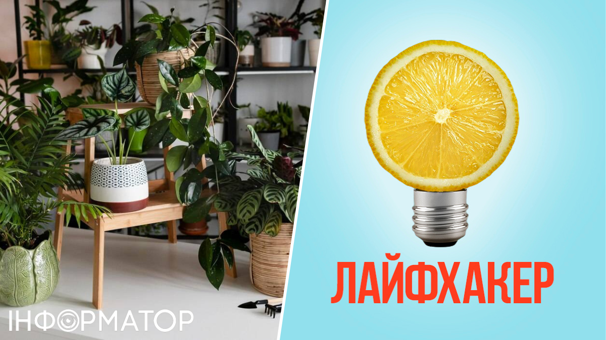 корисні поради