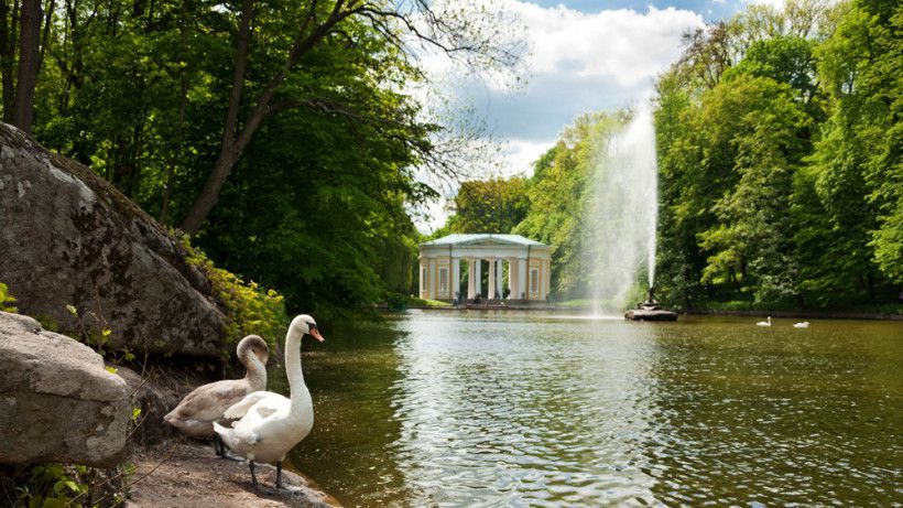 Парки