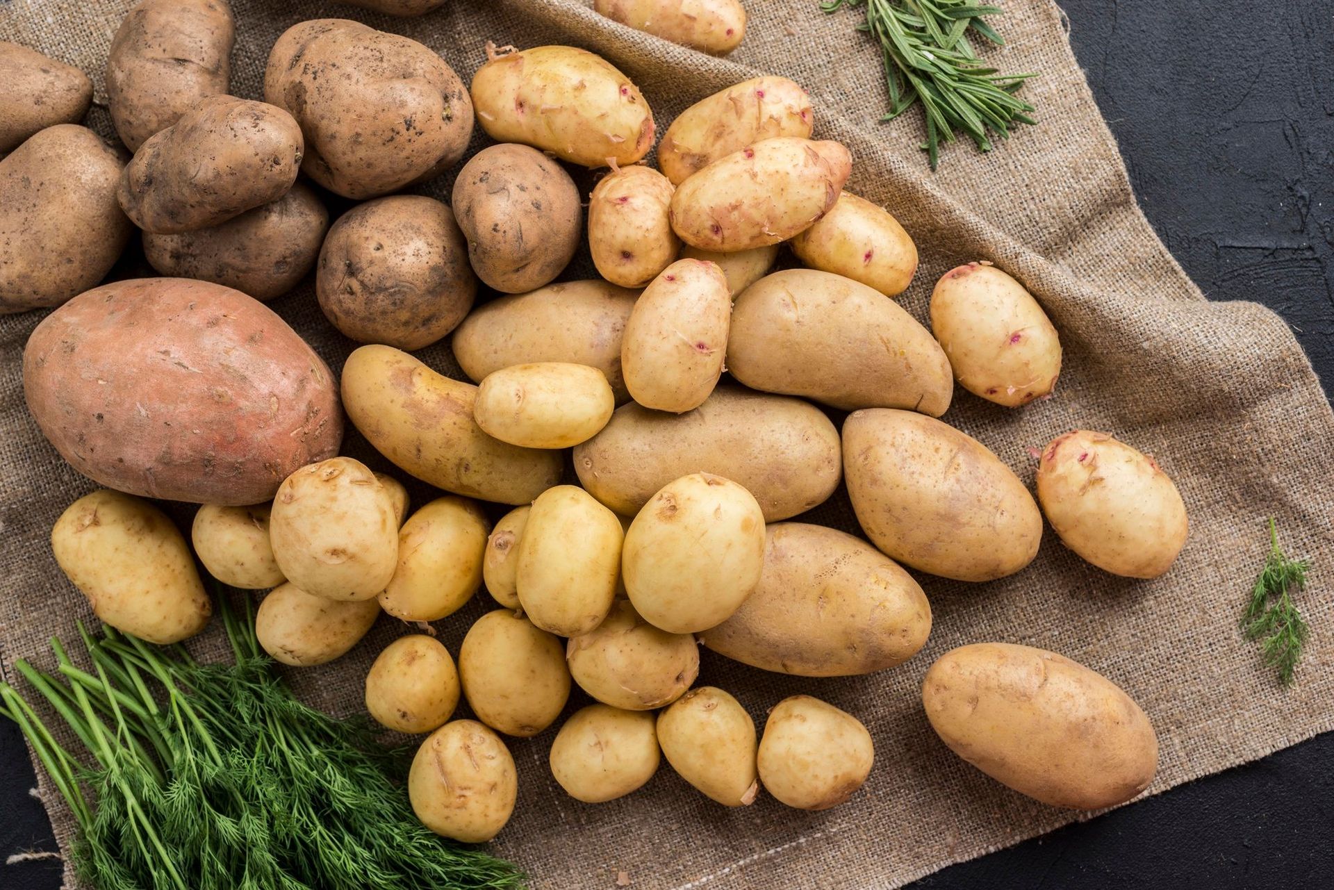 Картофель для украинцев является культовым продуктом. Картофель