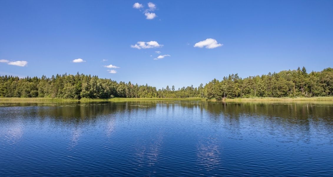 Реки