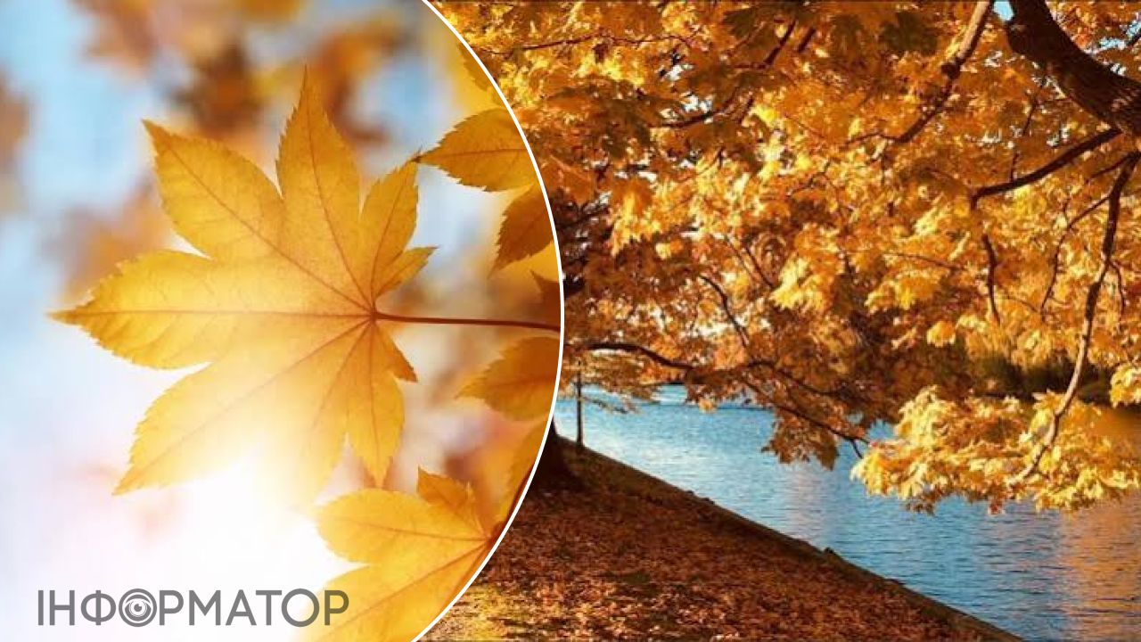 осіннє листя сонце