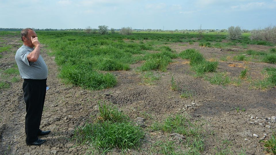 10268524_958496764170690_8099200109433444302_n