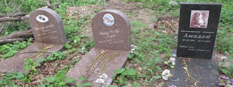Днепропетровску в этом году обещают кладбище для домашних животных