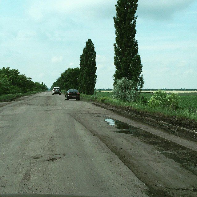 1908099_10203188055062185_5419676270399437326_n