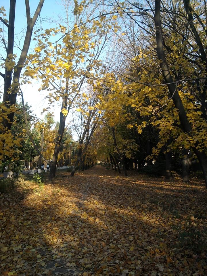 11133737_677701515673867_7283285840650131810_n