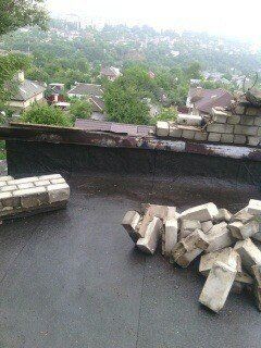 11647375_10203221601181247_1406012733_n