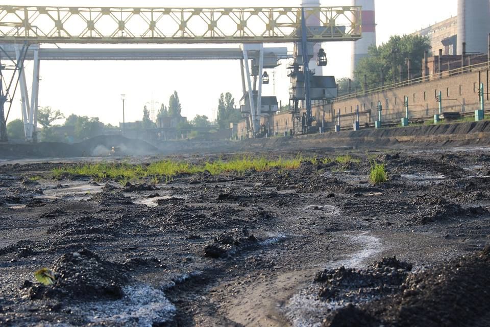 11800201_387258731464103_4800036832266353147_n