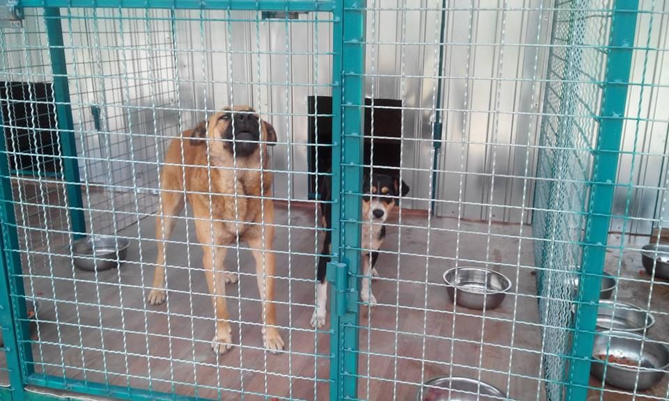 22203_726042387507203_2920761066507417151_n