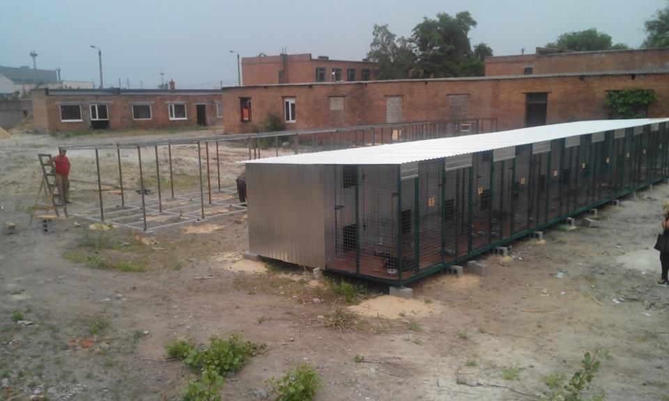 11226930_726042490840526_6586835346812756181_n