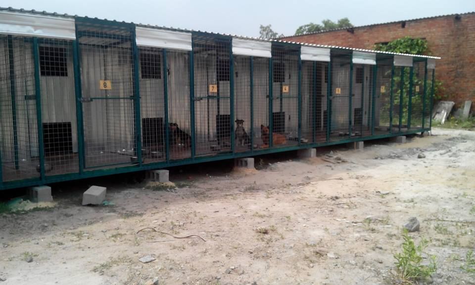 11229560_726042377507204_298888623986695184_n