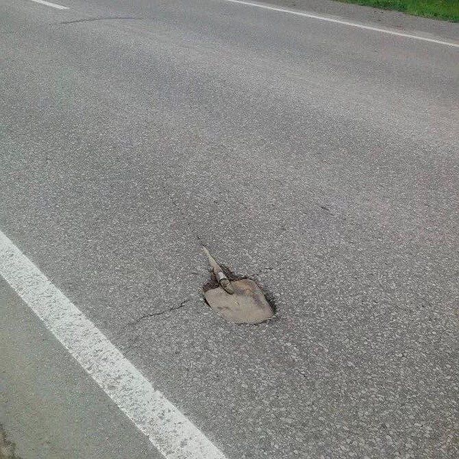 11209599_851099778296055_5857092117387420999_n