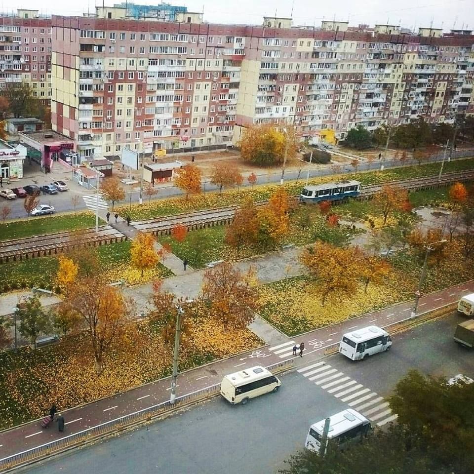 12193460_1510402725944275_3749123315379347155_n