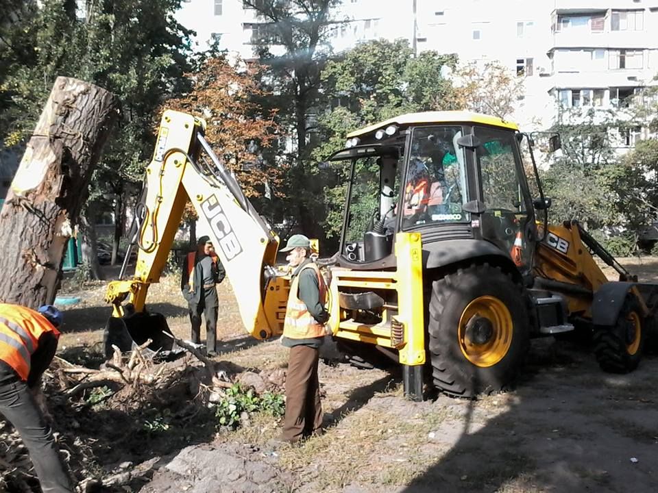 12020046_992545257475796_1306025096639778016_n