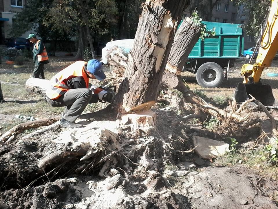 12074578_992545264142462_6378825274176033798_n