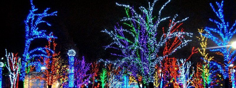 Как и за сколько Днепропетровск отгуляет Новый год