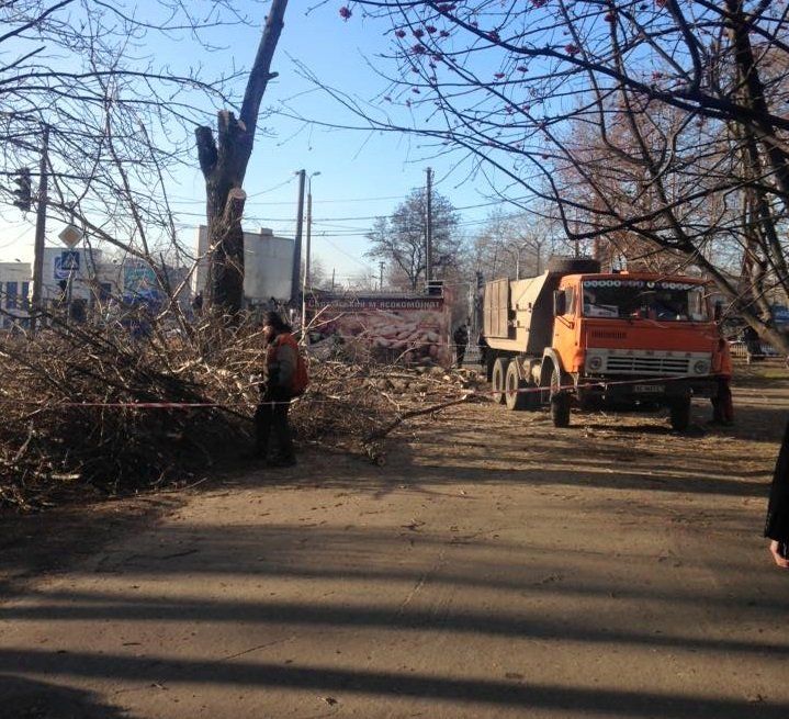 1505646_935094256573577_7552150475906831622_n