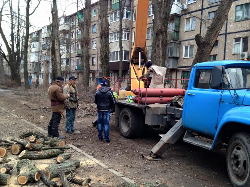 12345538_547519068743268_123335337341442653_n