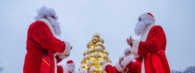Кто и за сколько решил установить рекламную елку в центре Днепропетровска?