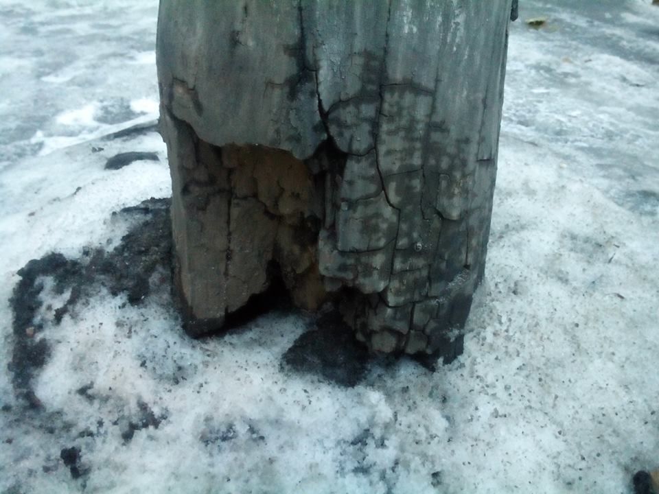 12507660_533642486805297_8112520539643507910_n