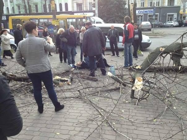 12507516_534245556744990_1447820604099529475_n