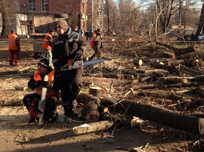 10336772_935094326573570_6748999051563697244_n