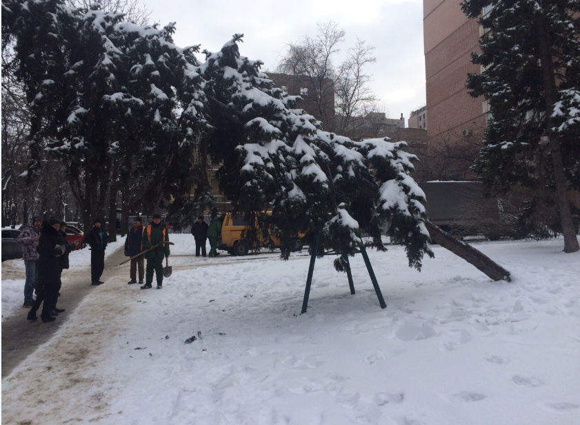 Безымянный