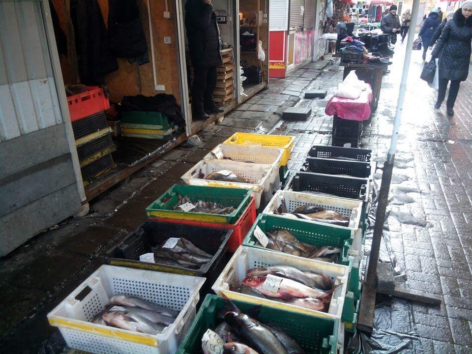 940844_10153855647512836_4499789619035253923_n