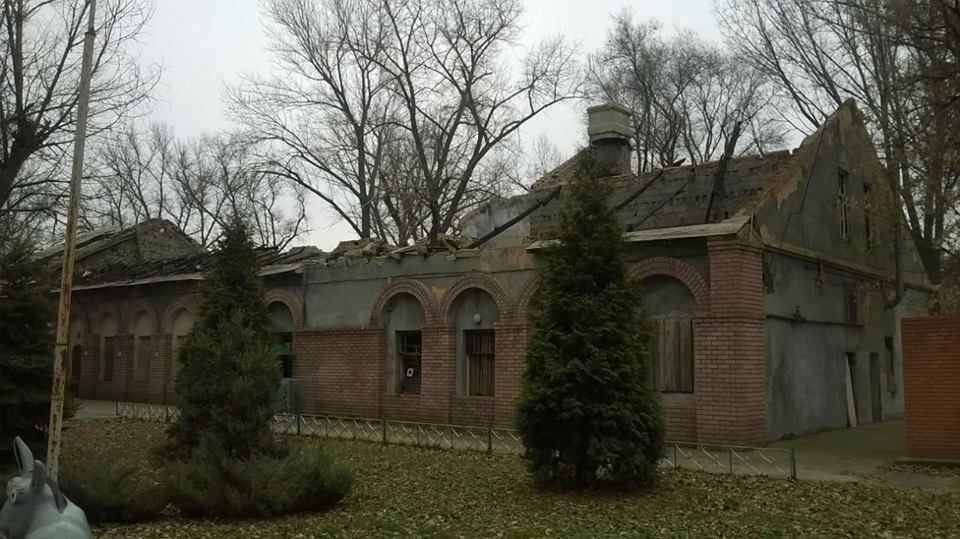 12728992_1559479401036872_6054145836765495501_n