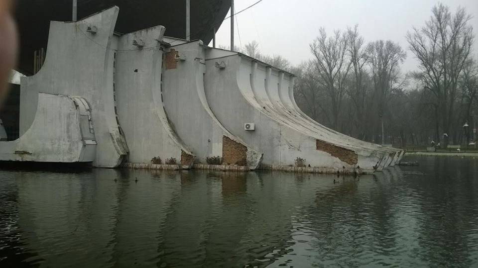 12745729_1559479361036876_5325160404065019785_n